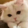 JiangshanZhao's avatar